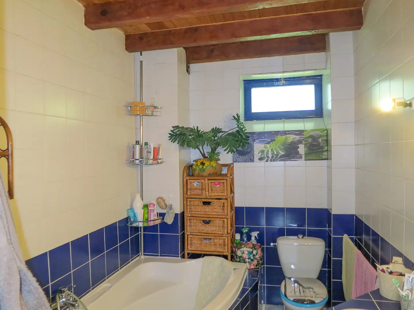 Salle de bain douche italienne Ville-sur-Jarnioux